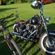 Treffen 2021 - 093